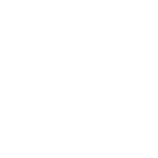 DINGON_MEISSELI's emblem
