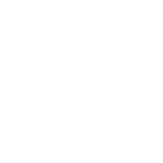 P31D0-MOLHADO's emblem