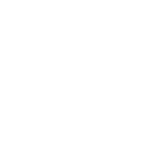 TheSkypeg's emblem