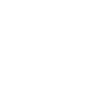 N1Dome's emblem