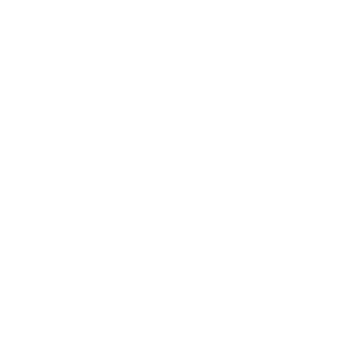 CMEPTb_XOXLAM's emblem