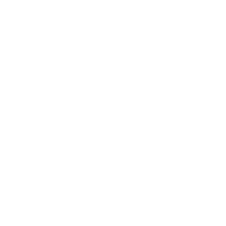RowdyBrow's emblem