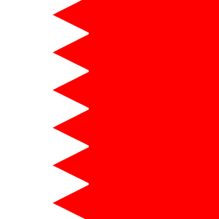 iN1's emblem