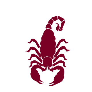 KillerShiva1's emblem