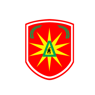 Naofumi46's emblem