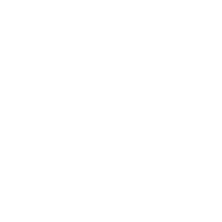 NanDSi's emblem