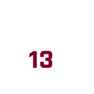 AnikisSV's emblem
