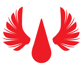 Cybronikai's emblem
