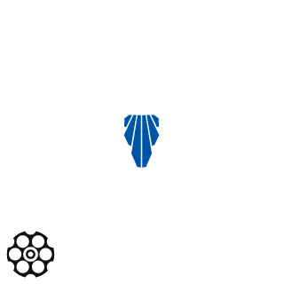 StrongChipmunk's emblem