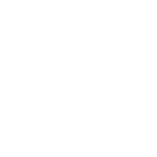 LehaBes's emblem