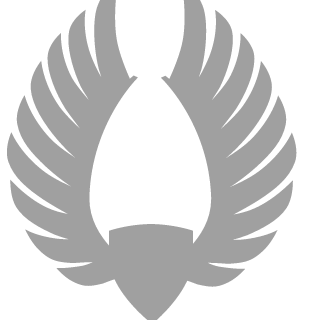 DragonHoll355's emblem