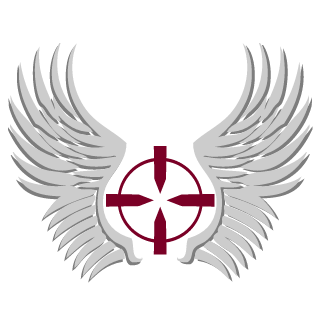 5an1ty's emblem