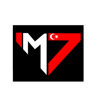Sonifinite's emblem