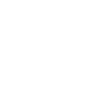 SH11TAKE007's emblem