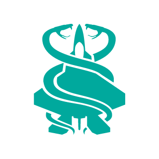 Saymmon_black007's emblem