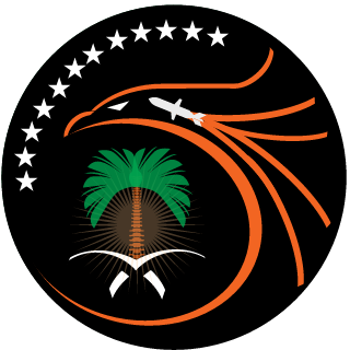 Sand Storm Squad's emblem