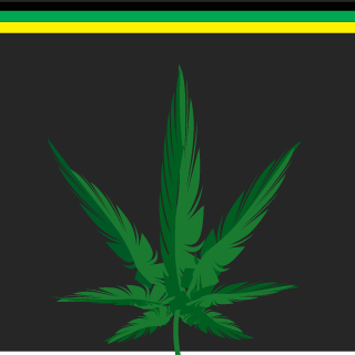 vitormr_96's emblem