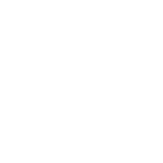AlaZawi89's emblem