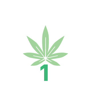 DuB805's emblem