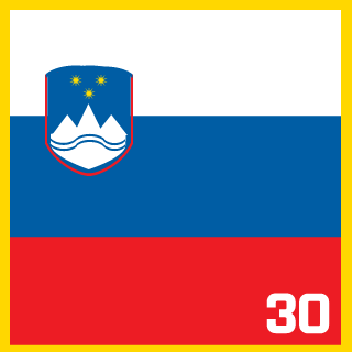 Slovenian Soldiers's emblem