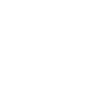 blockboiA2's emblem