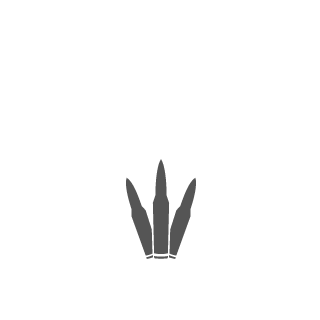 SpacedManNL's emblem