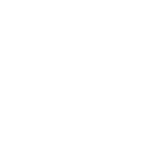 ShmerzhenS's emblem