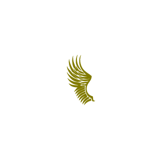 Pebkac2's emblem