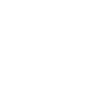 Lexa38's emblem