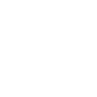 FLECHADOURADA's emblem