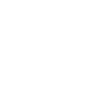 96d001513f87a401's emblem