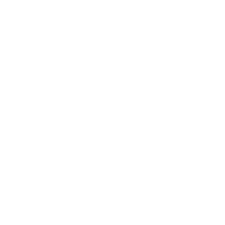 Mits11's emblem
