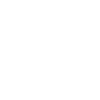 LN360SX's emblem