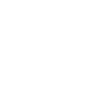 foereal_INC's emblem