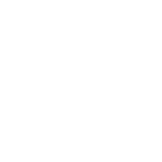 N0Pro's emblem