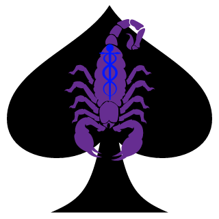 XFall3nSaintX's emblem