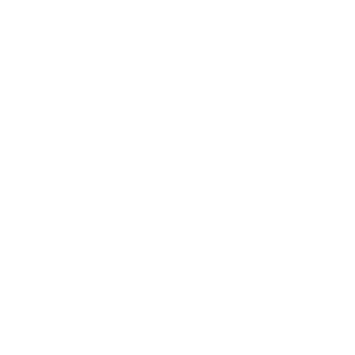 SyntaksError's emblem