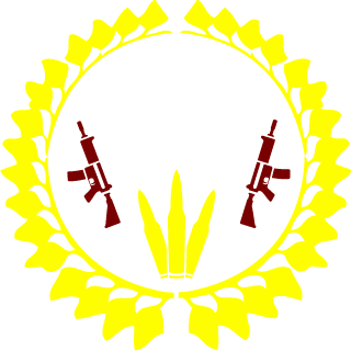 DrVardo's emblem