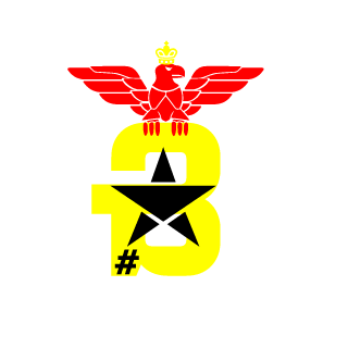 2637753263's emblem