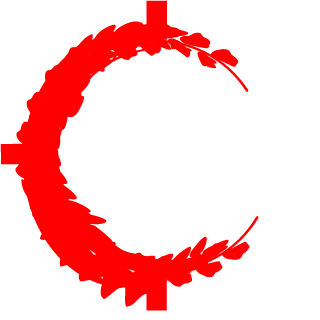 Team Raindrop's emblem