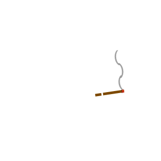 xVoid_0420's emblem