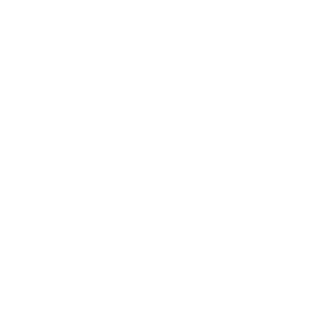 BaskerSWE's emblem