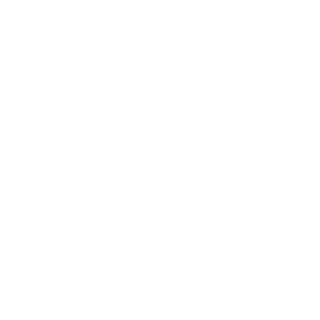 Libor1313's emblem