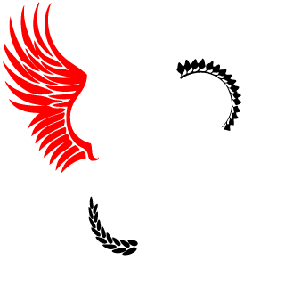 SlayrWndigo's emblem