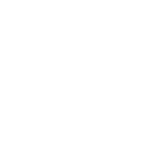 SEAL_GSXR's emblem