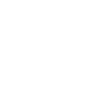 Fhsouza28's emblem