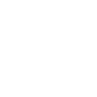 vertikalovic's emblem