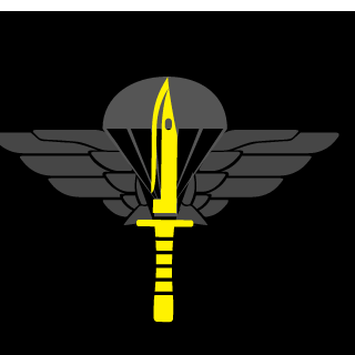 Inselonfire's emblem