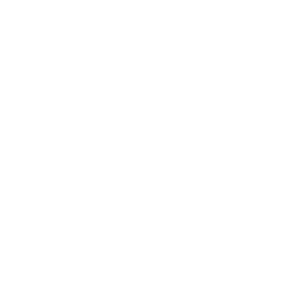 Fuzvy's emblem