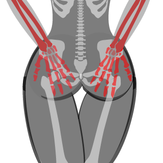 WerkaBezRowerka's emblem